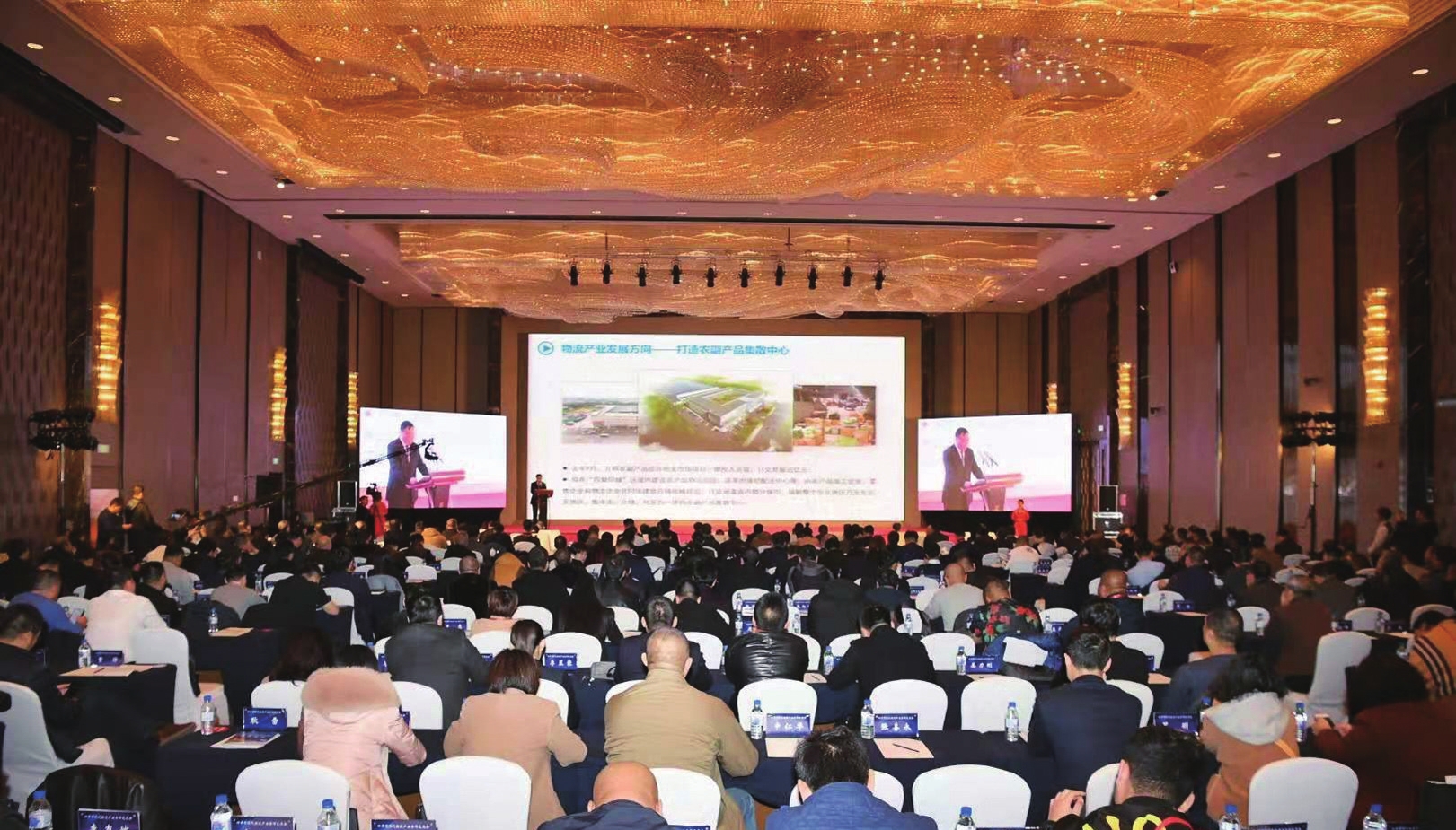 吉林四平：汇英才互联互通 集众智协同发展