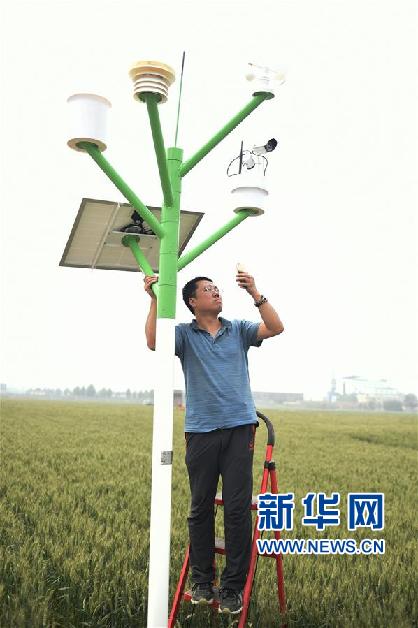 山东邹平：“智慧农业”促发展
