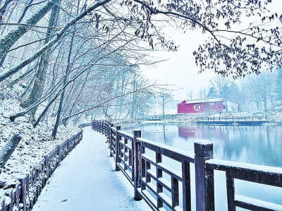 洛阳白云山：迎今冬首场瑞雪，送冬季暖心福利