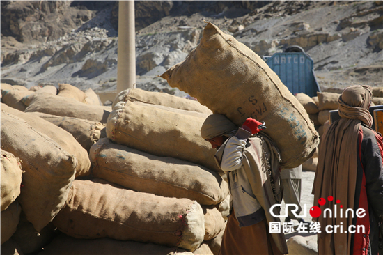 图片默认标题_fororder_图三 工人们在将土豆搬运到卡车上运往内地 刘畅摄