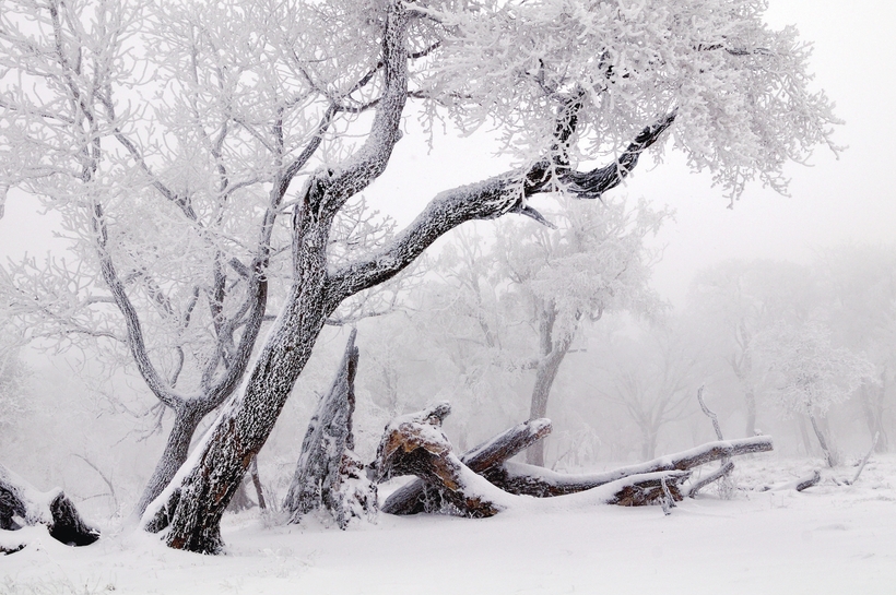 来吉林白山 赴一场冰雪之约