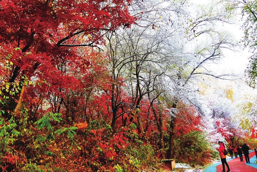 来吉林白山 赴一场冰雪之约