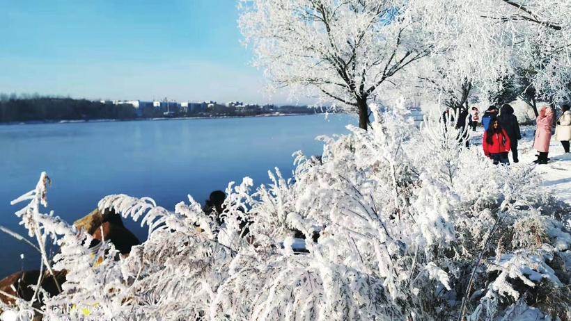 江城新雪季 引来八方客
