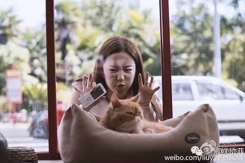 周冬雨嘟嘴抓头发！刘亦菲五官挤一起！好看的人才爱发丑照