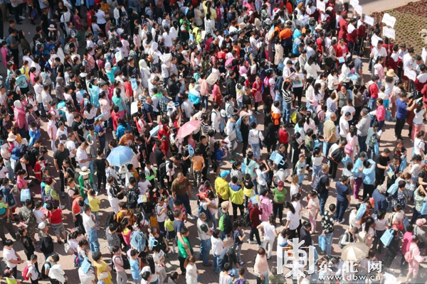 哈尔滨民办校小升初报名人数"爆棚" 当日录取比例最高达到1:40