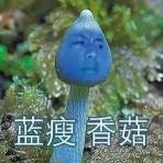 学会这些网络热词的英文说法，英语提高一个level！