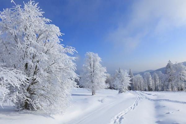 冬天的英语表达只会说“cold”？那可就out了！