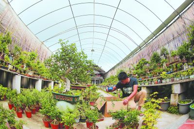 【福建时间 列表】【滚动新闻】【地市 漳州】 漳州：越来越多80、90后“城归”返乡创业