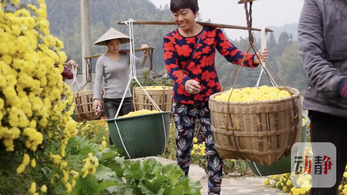 （要闻）贵州是“中国之治”“中国奇迹”的一个缩影