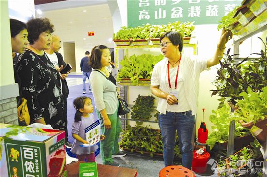 【三门峡专题】【主要活动-标题列表】三门峡特博会上卖蔬菜：能看还能吃 盆栽蔬菜俏