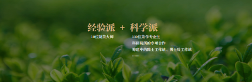 【创新驱动企业+】小罐茶杜国楹：把中国茶从意外的发现转变成主动的设计