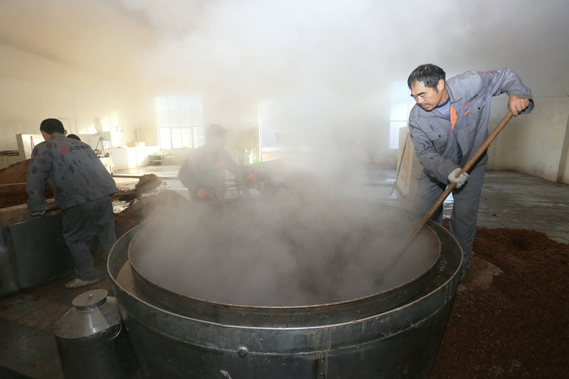 【河南供稿】周口淮阳非遗“淮陈酒酿造技艺”：一杯来自远古的陈香