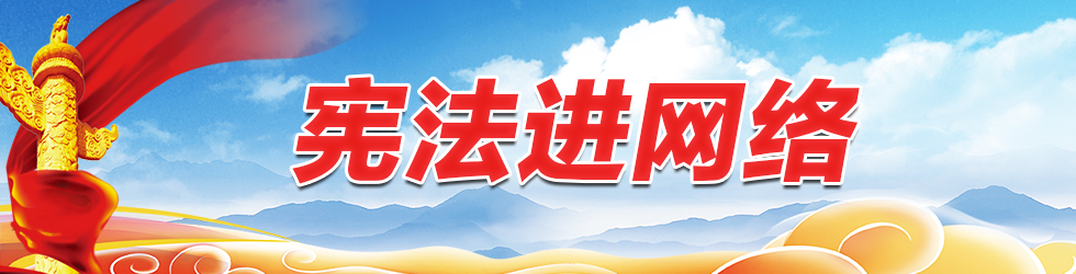 宪法进网络