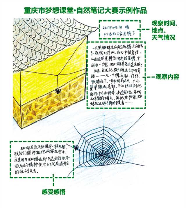 【科教 标题摘要】第五届重庆市梦想课堂·自然笔记大赛启动