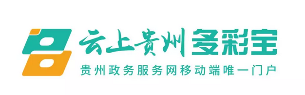 2019年数字政府服务能力榜单 贵州居全国优秀政务APP前列