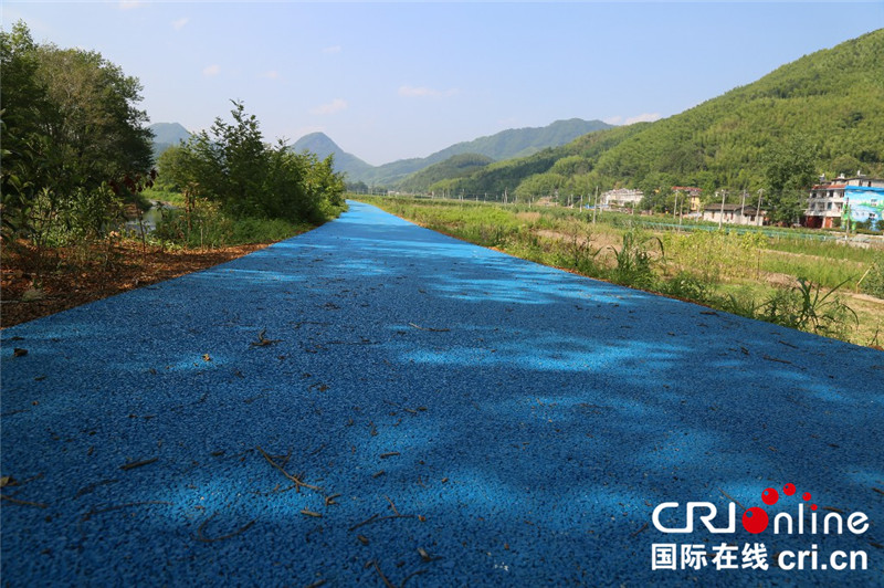 图片默认标题_fororder_湖头村绿道景色