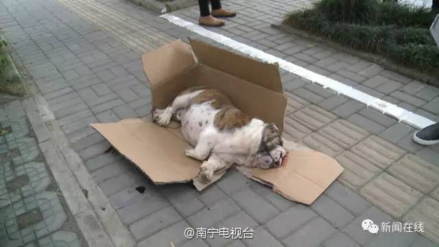 图片默认标题