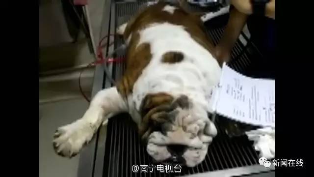 图片默认标题