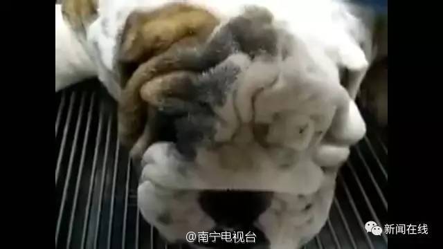 图片默认标题