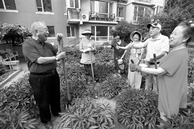 图片默认标题