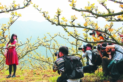 【旅游 列表】德化发展梨产业铺富民路 农旅融合带动乡村振兴
