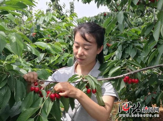 图片默认标题_fororder_406186eb809b1c8475612b_副本