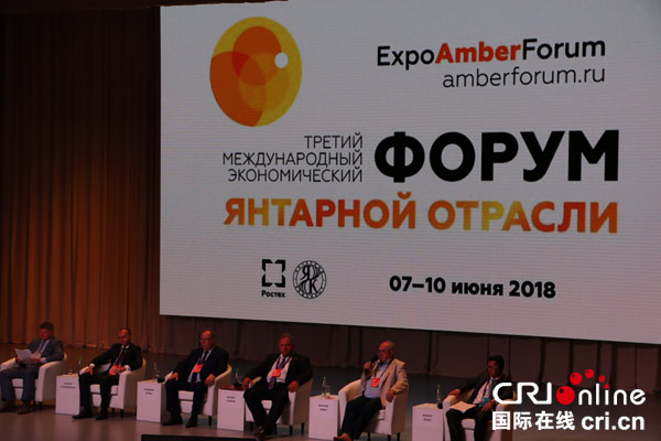 图片默认标题_fororder_第三届国际琥珀经济论坛全体