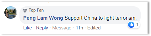 确凿的力量 总台多语种新疆反恐记录片激发国际热议