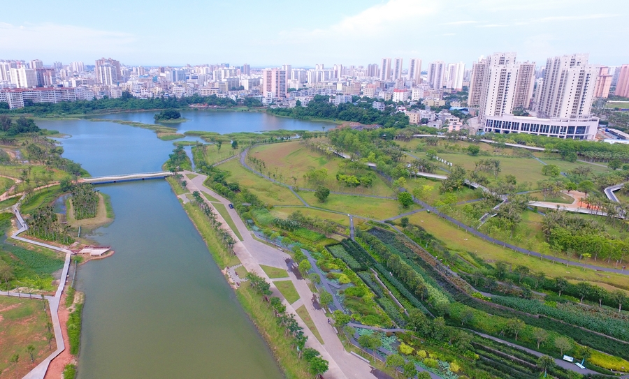 【新时代·幸福美丽新边疆】海口美舍河凤翔湿地公园:把“梯田”搬到市民家门口-国际在线