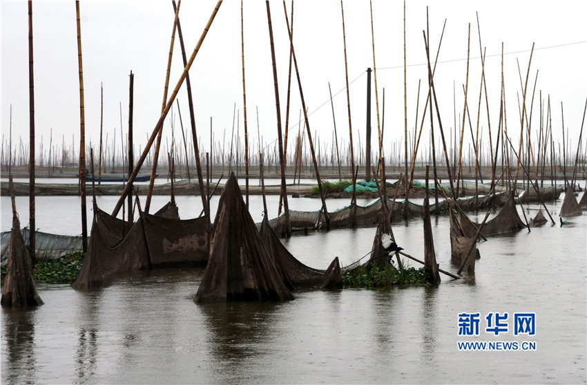 湖北兴"湖" 千湖之美可期