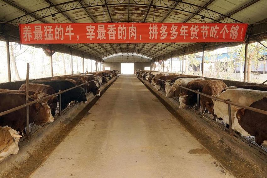 图片默认标题_fororder_5