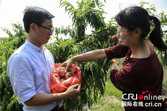 （供稿 旅游列表 三吴大地泰州 移动版）泰州秋雪湖尚品生态乐活节启幕