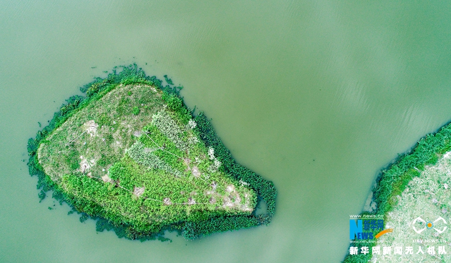 【焦点图】【移动版 轮播图】【滚动新闻】福建湄洲岛“治水”展露生态美景