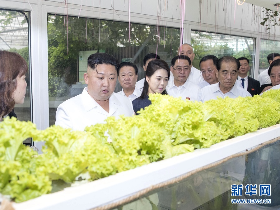 习近平会见朝鲜劳动党委员长金正恩