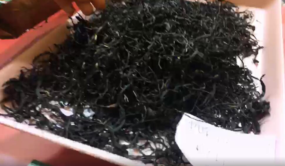 来自肯尼亚的参展团带来独具特色的黑茶和紫茶_fororder_chaye 