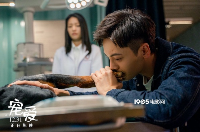 徐峥监制《宠爱》曝光推广曲MV 金玟岐深情献唱