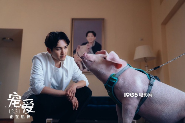 徐峥监制《宠爱》曝光推广曲MV 金玟岐深情献唱