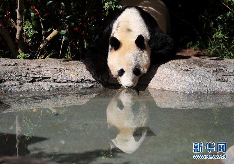 当摄影遇到谚语：2019年的美国瞬间