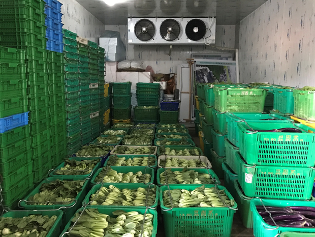 图片默认标题_fororder_图片3