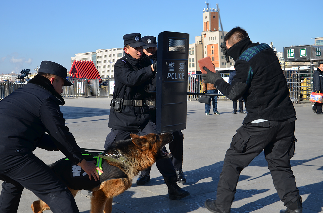 警犬出动 铁警备战春运