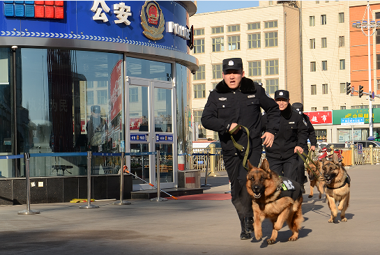 警犬出动 铁警备战春运