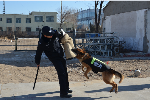 警犬出动 铁警备战春运