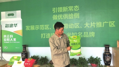【河南好项目-图片】沿黄稻米带百亿产业盼崛起