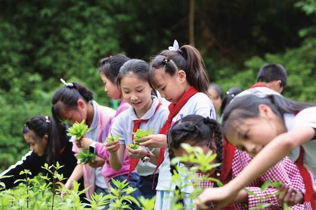 重庆北碚：深耕特色课程 激发教育活力