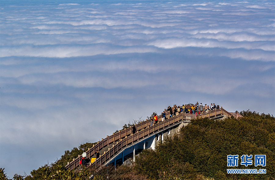 重庆金佛山现云海景观 场面壮观