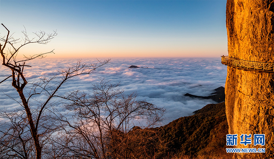 重庆金佛山现云海景观 场面壮观
