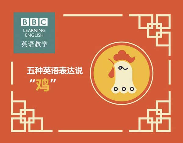 每日英语：在“鸡”年里，这些关于“鸡”的表达要学会