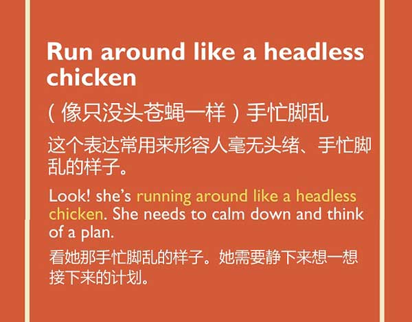 每日英语：在“鸡”年里，这些关于“鸡”的表达要学会