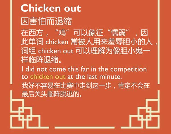 每日英语：在“鸡”年里，这些关于“鸡”的表达要学会