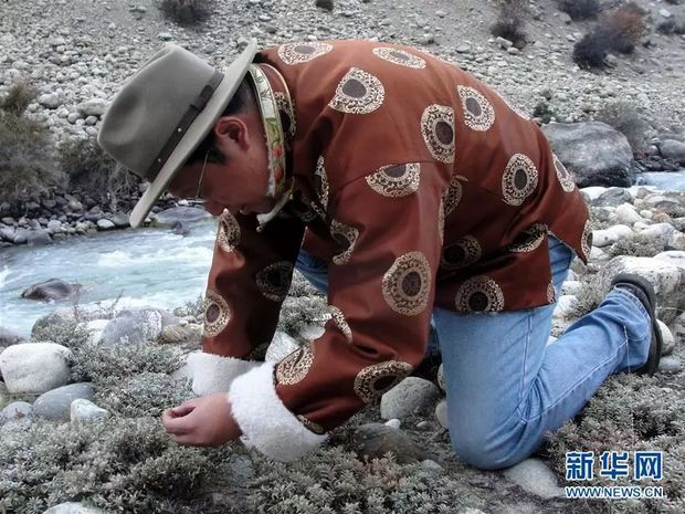 新时代楷模炼成记：七人党龄书写两倍党的岁月辉煌